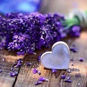 Meet your Posher, Dina